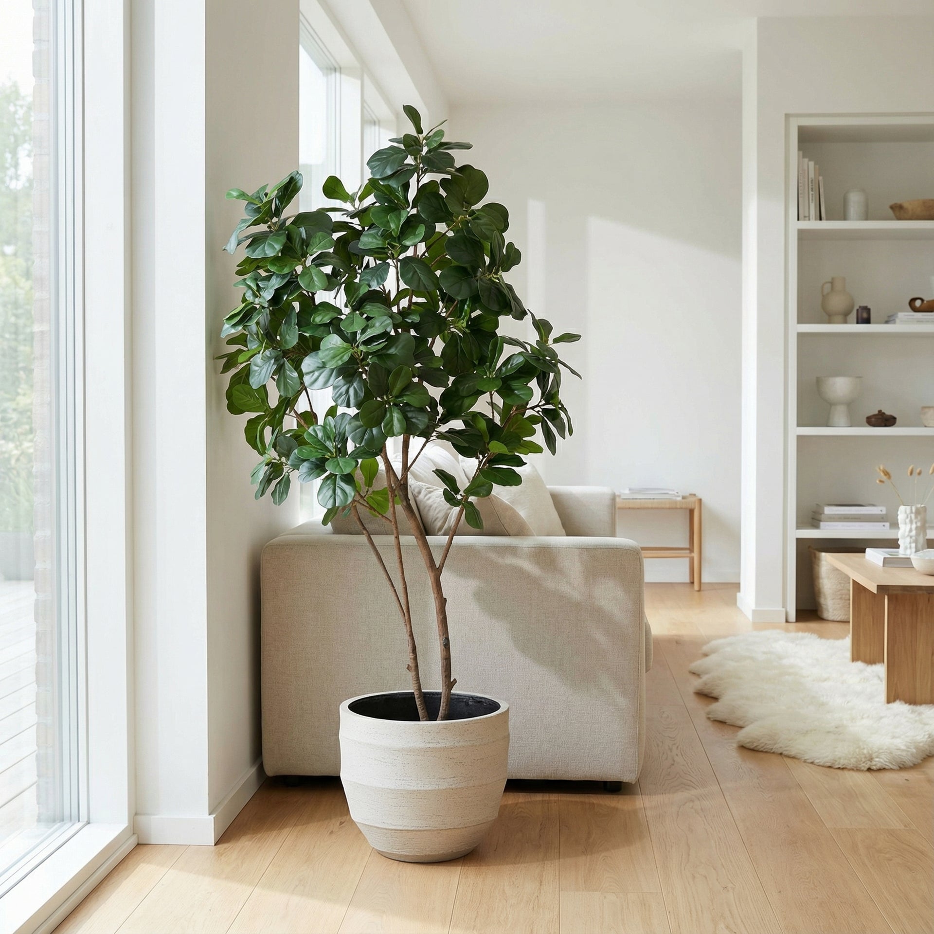 





Kunstplant Ficus Lyrata XL | 180cm - Afbeelding 4
