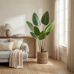 





Kunstplant Strelitzia | 153cm - Afbeelding 4
 thumbnail