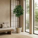 





Kunstplant Magnolia | 187cm - Afbeelding 5
 thumbnail