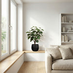 





Kunstplant Polyscias Fabian | 53cm - Afbeelding 6
 thumbnail