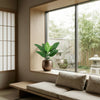 Kunstplant Philodendron Jungle King | 47cm