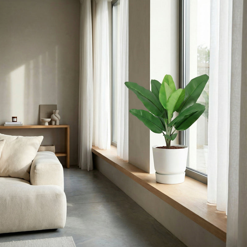 





Home Office Set | Complete Kantoor Kunstplanten Bundel - Afbeelding 10

