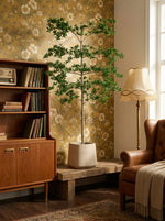





Kunstplant Bucida | 200cm - Afbeelding 13
 thumbnail