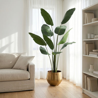 Kunst Strelitzia 'Paradijsvogel' - 182cm