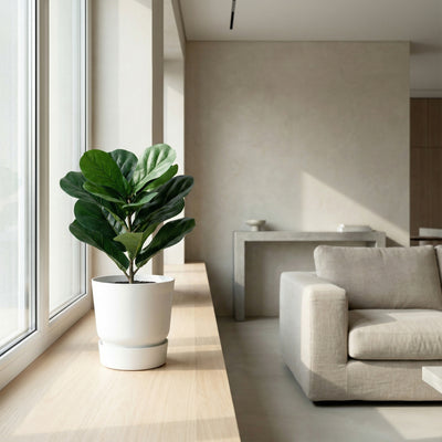 Kunst Ficus Lyrata 'Vioolbladplant' - 40cm: Een Tijdloze Eyecatcher