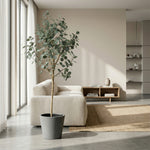 





Kunstpflanze Eukalyptus | 180cm - Lifestyle foto kunstplant in interieur
 thumbnail