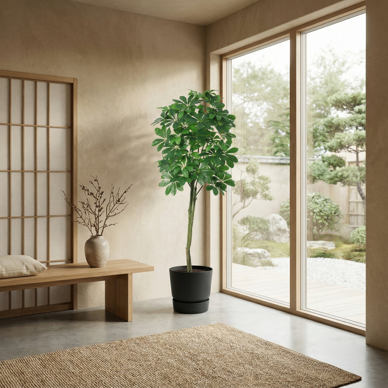 





Kunstplant Pachira | 150cm - Afbeelding 5
