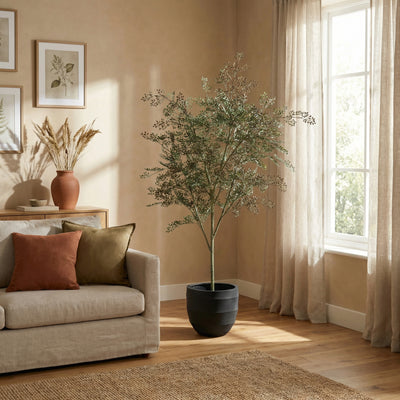 Kunstplant Bucida | 165cm