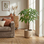 





Pianta Artificiale Pachira | 86cm - Afbeelding 7
 thumbnail