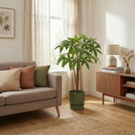 





Pianta Artificiale Pachira | 86cm - Afbeelding 6
 thumbnail