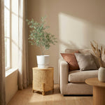 





Kunstplant Bucida | 71cm - Afbeelding 5
 thumbnail