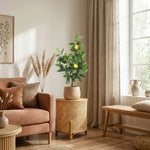 





Pianta Artificiale Limone | 65cm - Afbeelding 6
 thumbnail