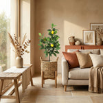 





Pianta Artificiale Limone | 65cm - Afbeelding 5
 thumbnail