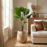 





Pianta Artificiale Licuala | 104cm - Afbeelding 6
 thumbnail