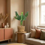 





Pianta Artificiale Bananenplant | 80cm - Afbeelding 4
 thumbnail