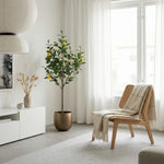 





Kunstplant Citroenboom | 150cm - Afbeelding 6
 thumbnail