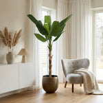 





Pianta Artificiale Bananenplant | 190cm - Afbeelding 5
 thumbnail