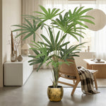 





Pianta Artificiale Rhapis | 120cm - Afbeelding 5
 thumbnail