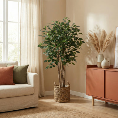 Kunstplant Ficus Benjamina | 150cm