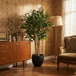 





Umělá Rostlina Ficus Benjamina | 150cm - Afbeelding 7
 thumbnail