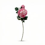 





Kunstblume Pfingstrose - Lifestyle foto kunstplant in interieur
 thumbnail
