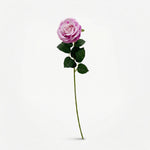 





Kunstblume Rose - Lifestyle foto kunstplant in interieur
 thumbnail