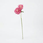 





Kunstblume Chrysantheme - Premium kunstplant van Florafy
 thumbnail