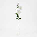 





Artificial Lisianthus - Premium kunstplant van Florafy
 thumbnail