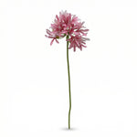 





Kunstblume Agapanthus - Premium kunstplant van Florafy
 thumbnail