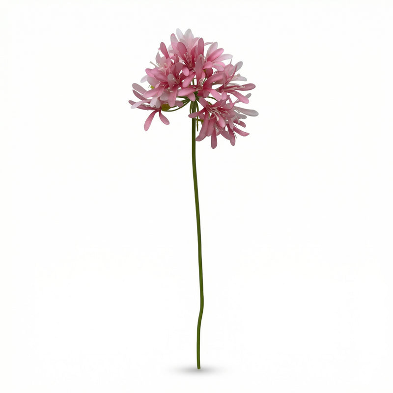 





Kunstblume Agapanthus - Premium kunstplant van Florafy
