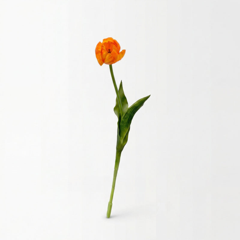 





Bouquet di Tulipani Arancioni | 12 Steli - Afbeelding 4
