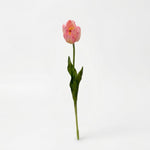





Bouquet di Tulipani Gialli | 12 Steli - Afbeelding 8
 thumbnail