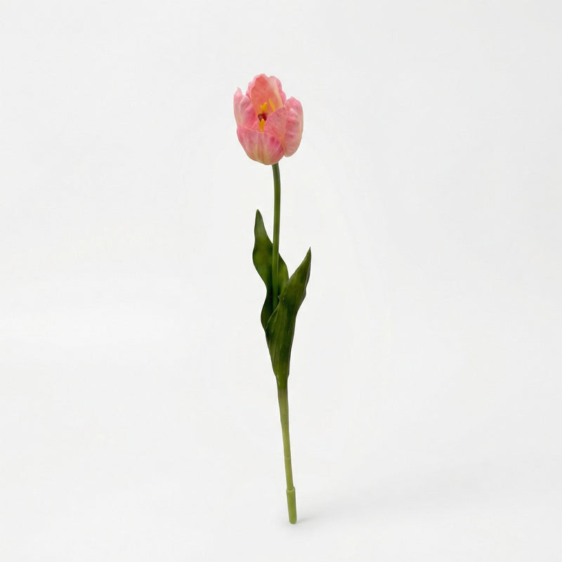 





Bouquet di Tulipani Arancioni | 12 Steli - Afbeelding 7
