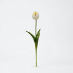 





Bouquet di Tulipani Bianco | 12 Steli - Detail view kunstplant
 thumbnail