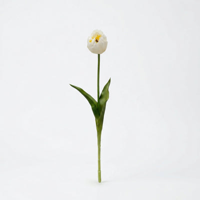 Tulpen boeket wit