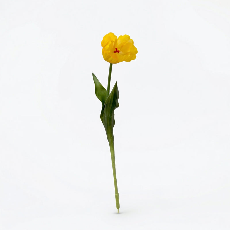 





Bouquet di Tulipani Gialli | 12 Steli - Afbeelding 5
