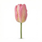 





Kunstblume Tulpe - Afbeelding 14
 thumbnail
