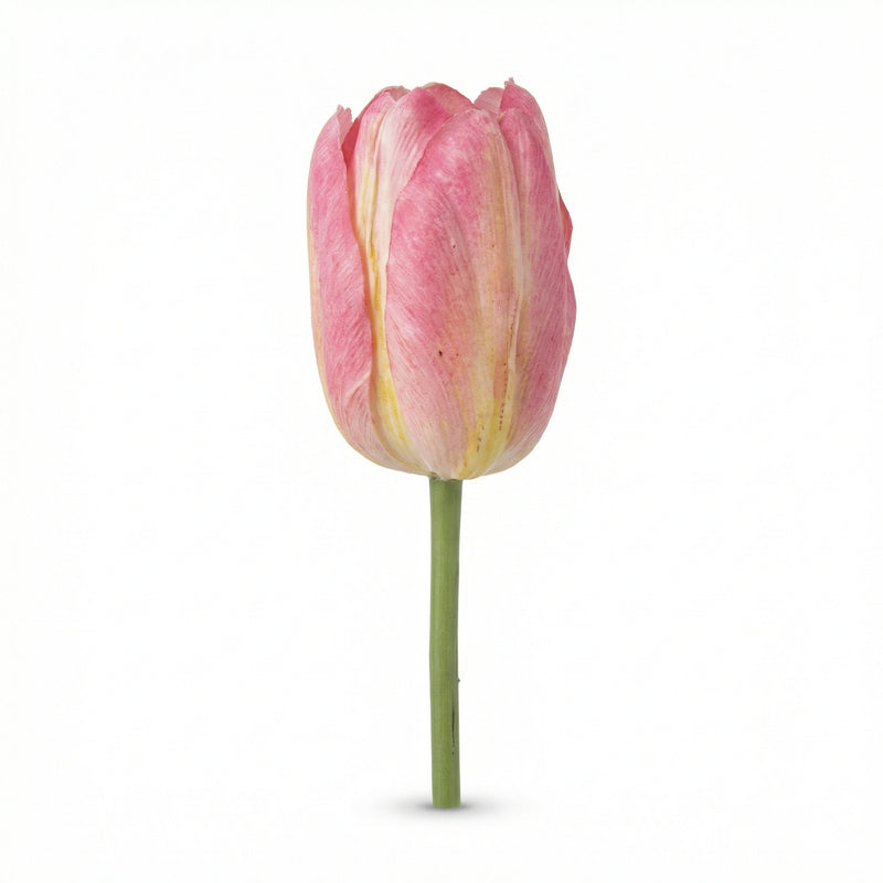 





Kunstblume Tulpe - Afbeelding 14
