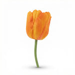 





Bouquet di Tulipani Arancioni | 12 Steli - Detail view kunstplant
 thumbnail