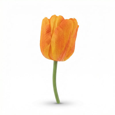 Tulpen boeket oranje