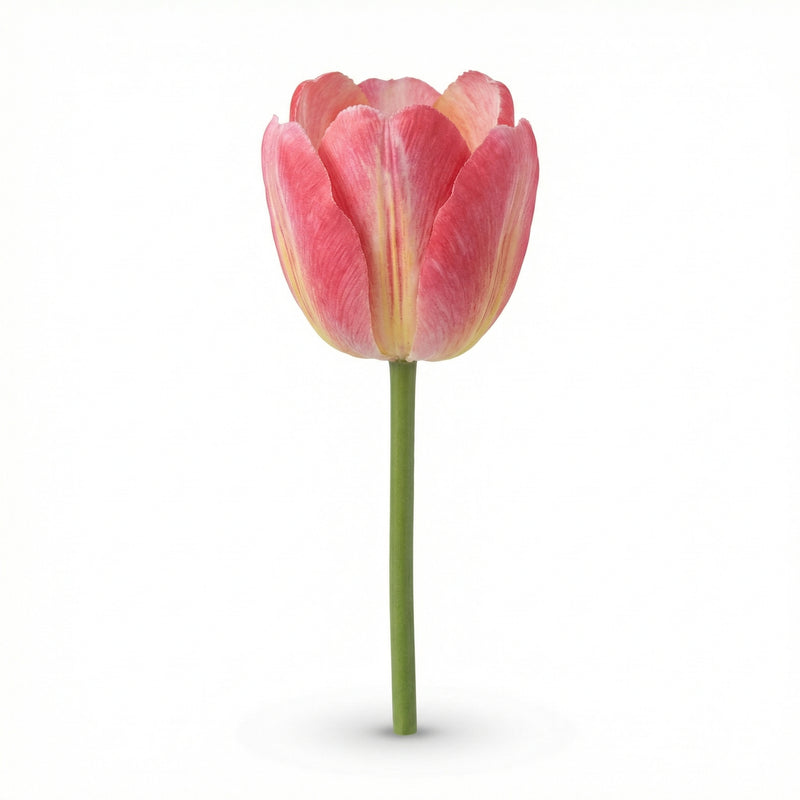 





Kunstblume Tulpe - Afbeelding 16
