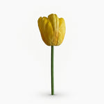





Bouquet di Tulipani Gialli | 12 Steli - Lifestyle foto kunstplant in interieur
 thumbnail