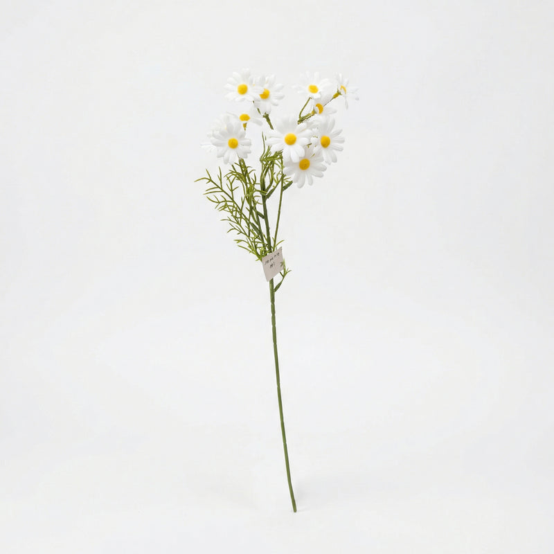 





Sztuczny kwiat Rumianek - Premium kunstplant van Florafy
