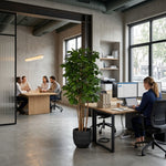 





Sztuczne drzewo Dąb | 170cm - Afbeelding 4
 thumbnail