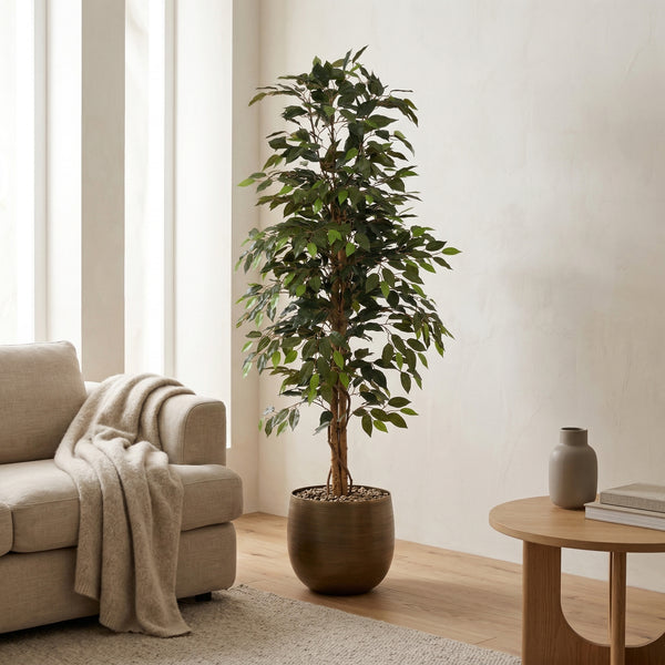 Kunstplant Ficus Benjamina | 160cm — close-up echte stam