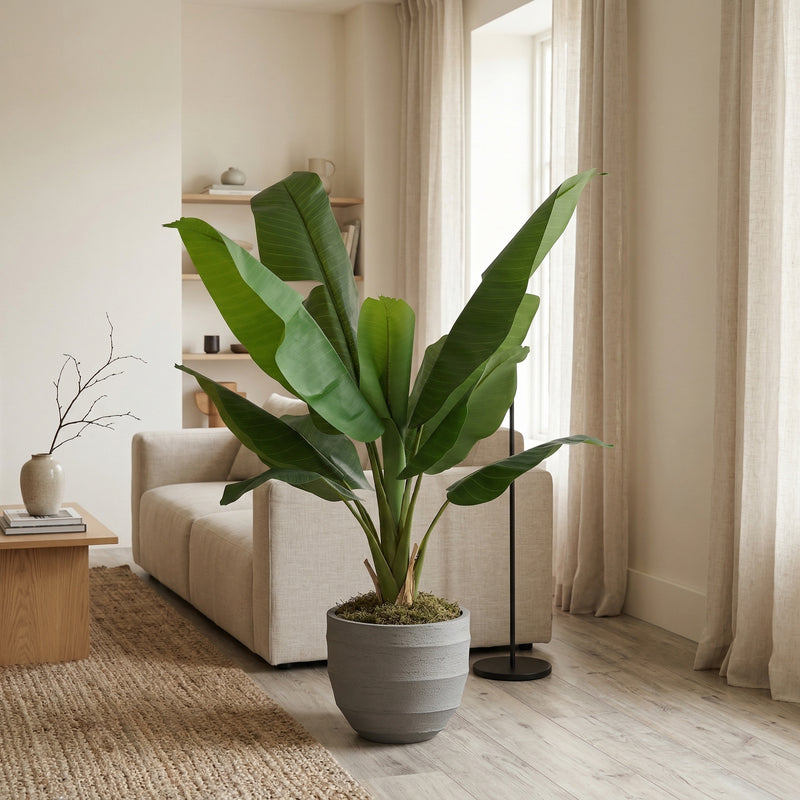 





Kunstpflanze Bananenpflanze | 120cm - Afbeelding 4
