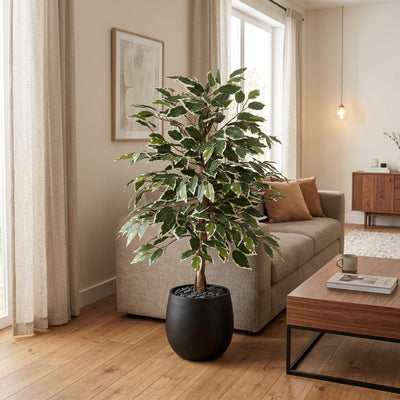 Kunstplant Ficus Benjamina Variegata | 85cm