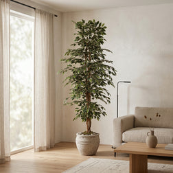 Planta artificial Ficus Benjamina Variegata | 205cm