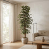 Kunstplant Ficus Benjamina Variegata | 205cm
