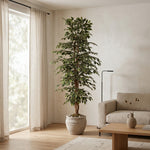 





Kunstpflanze Ficus Benjamina Variegata | 205cm - Detail view kunstplant
 thumbnail